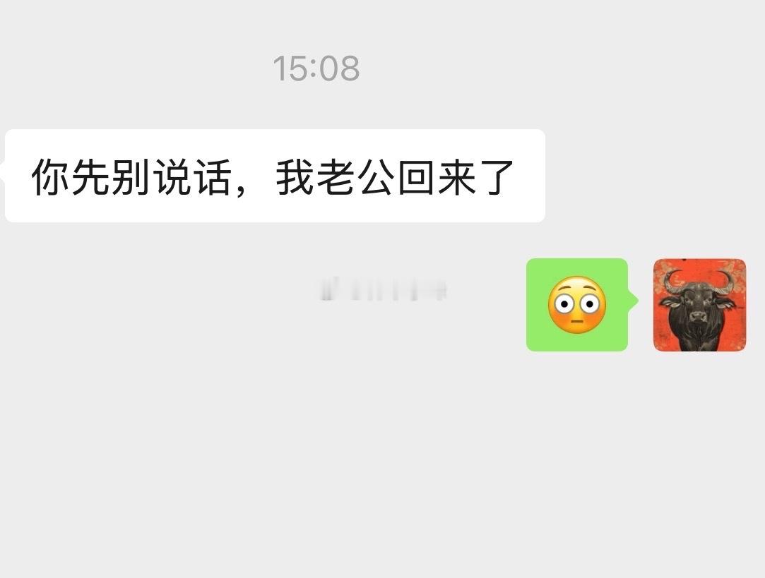 他老公回来了，全剧终。 ​​​