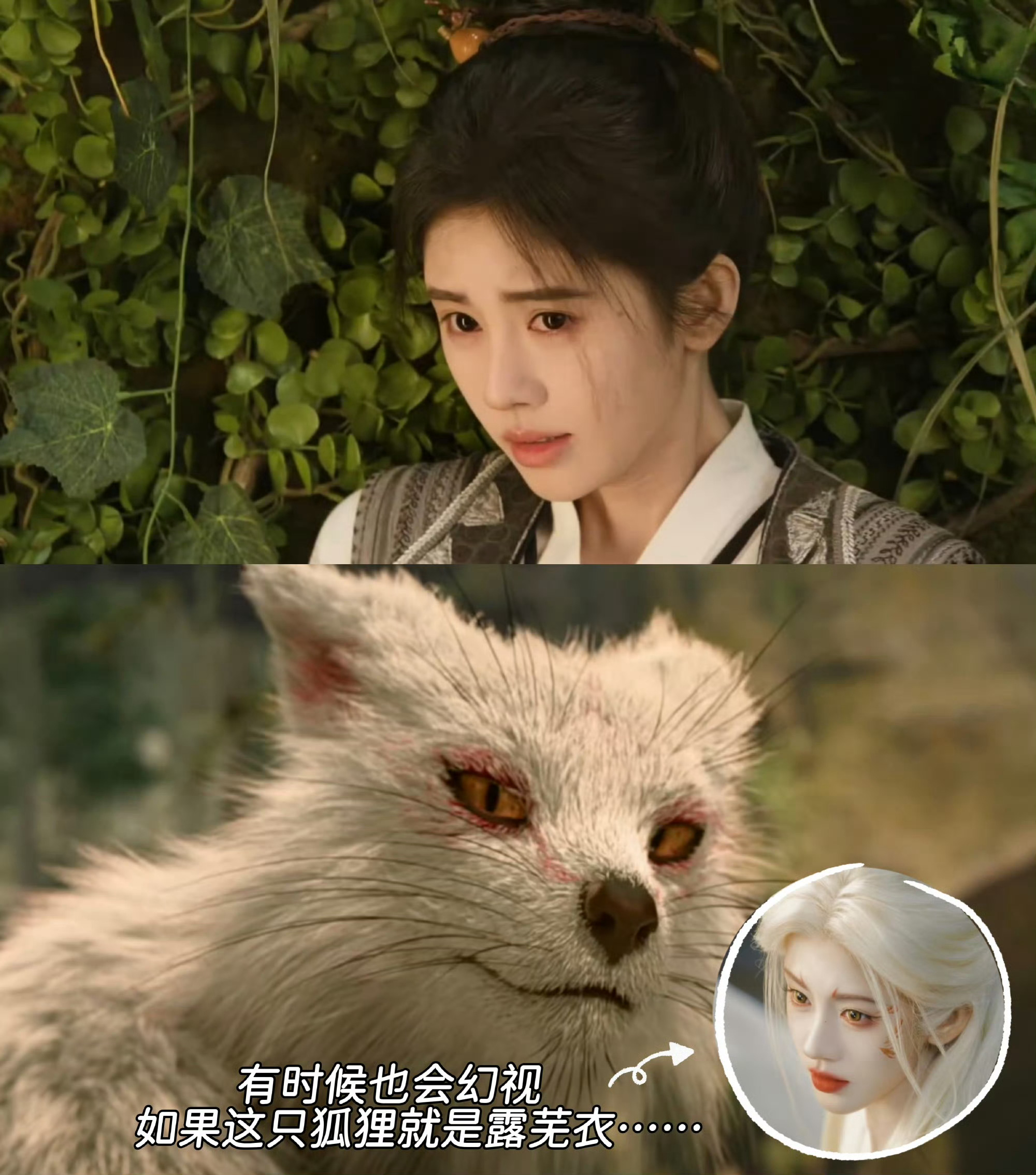 露芜衣怎么来千香客串了有事叫我们露芜衣她是真来啊