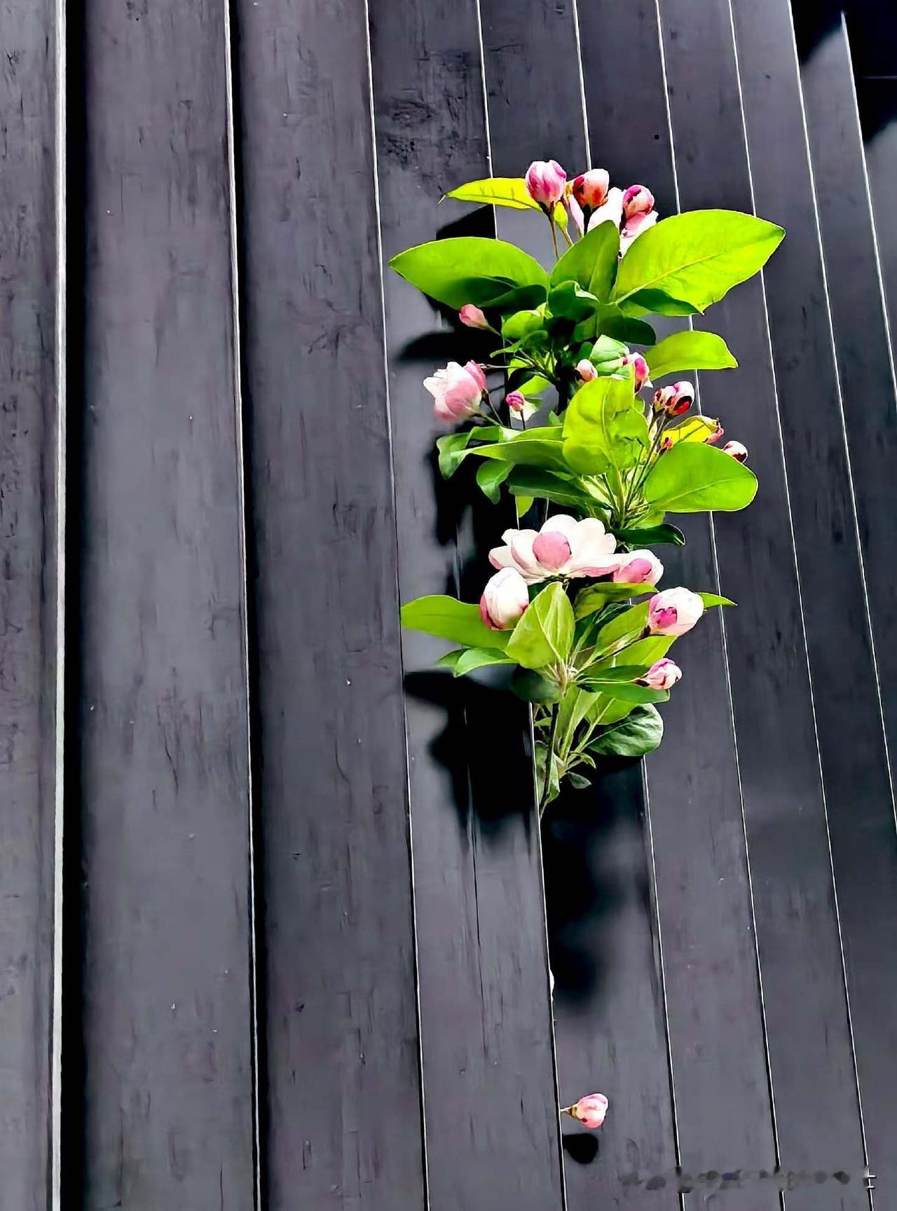 好奇葩！一对年轻夫妻出门玩耍因为把路走错，然后两人发生争吵离婚了。

上午出门买