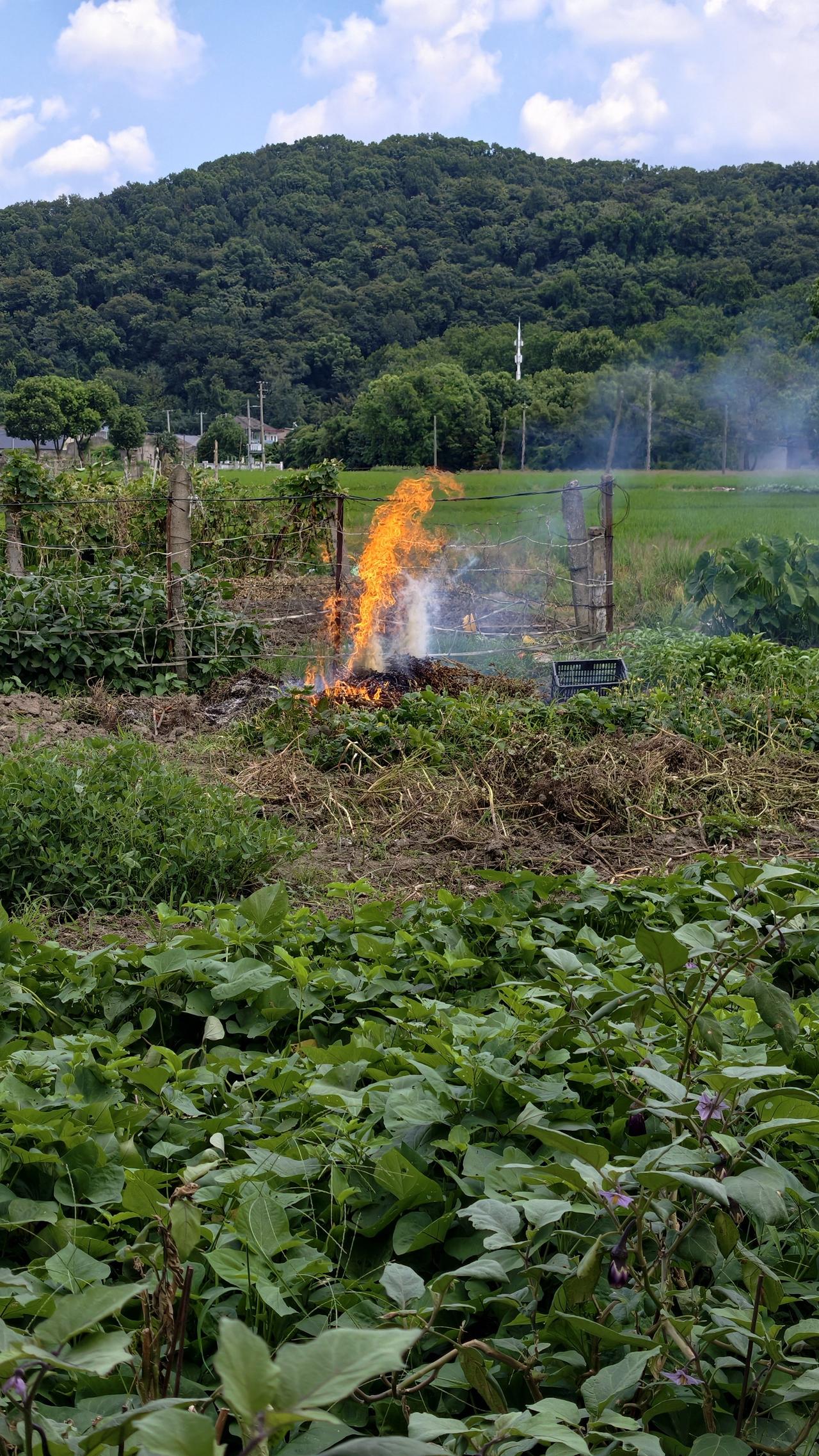 80后的我们以前真厉害啊，十几岁就出去打工
了，父母就给300块钱给你当路费，都