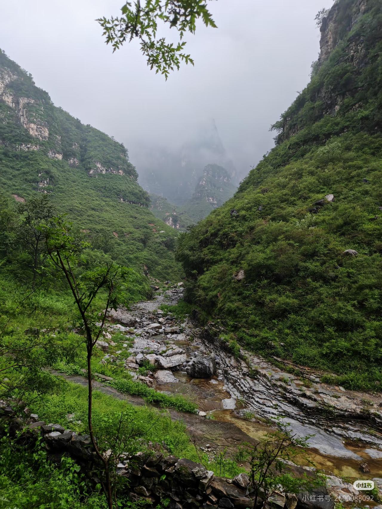 人际关系专家说：
刻意针对你的人，不会只伤害你一次。他当初没能彻底打倒你，后续一