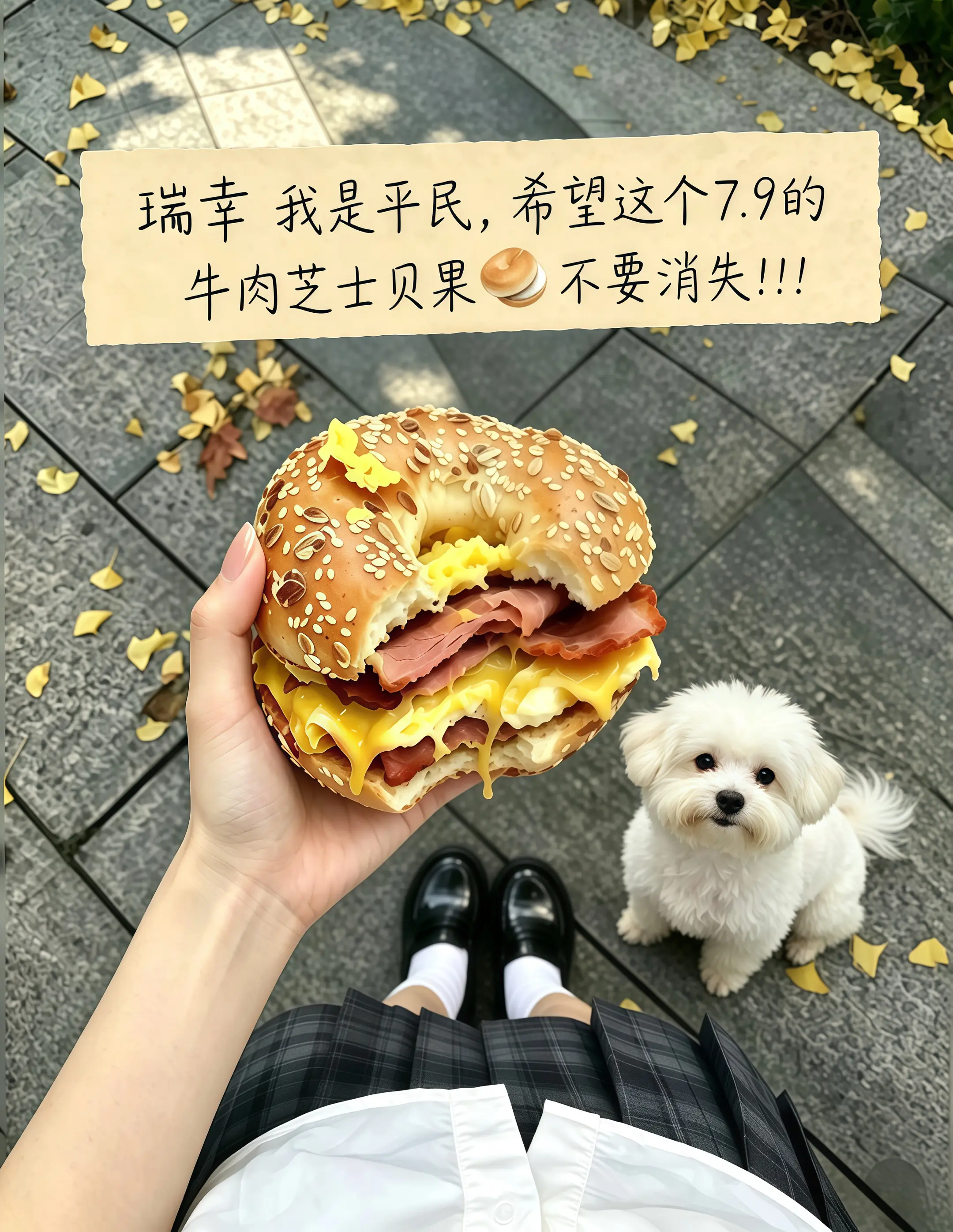 瑞幸，你转行做面包吧，馋了好久的牛肉芝士贝果重磅回归啦！