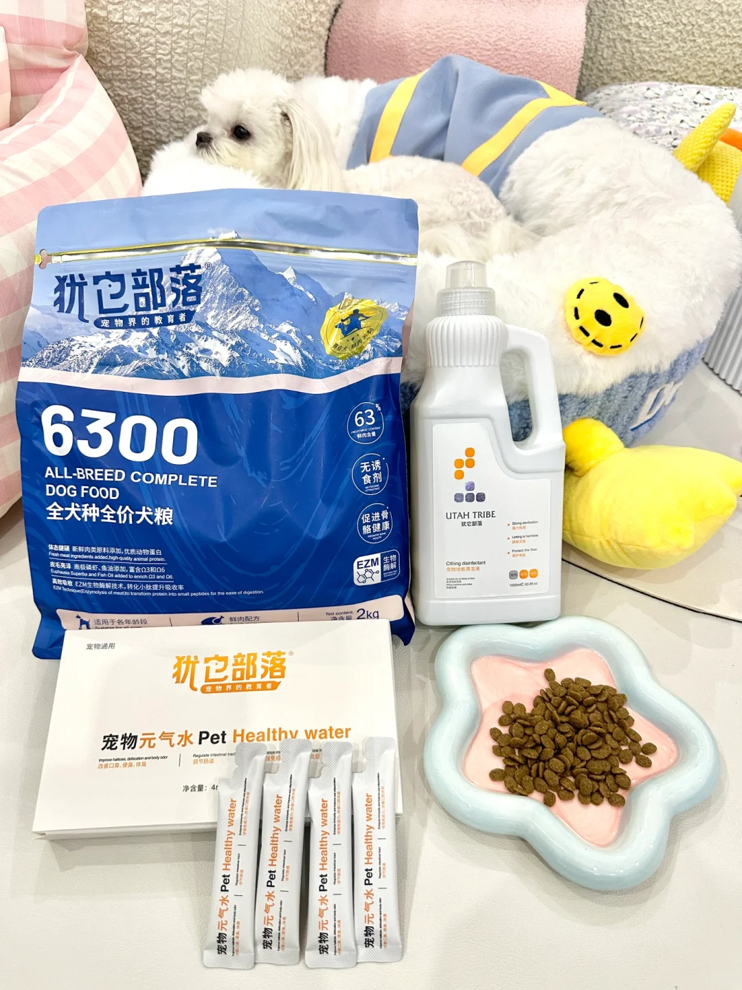 给挑食小狗换了促进骨骼健康的狗粮！