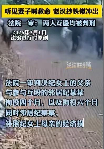 “这算是互殴吗？”邻居家挖土地，一直挖到女子家，女子母亲发现，就和他们一家人争执