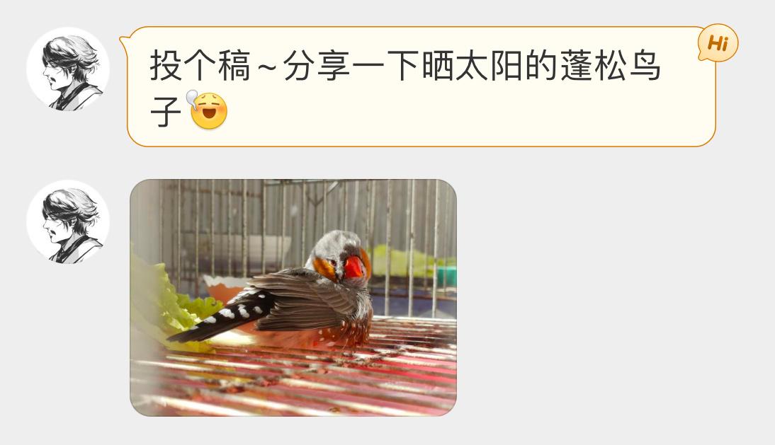 #宠物鸟投稿# 晒太阳的【珍珠鸟】美美地享受日光浴 ​​​