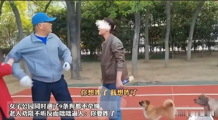 女子公园遛狗9 条，吓坏路人，大爷劝阻无果，被质问：“你想咋地？你想咋地？”老太