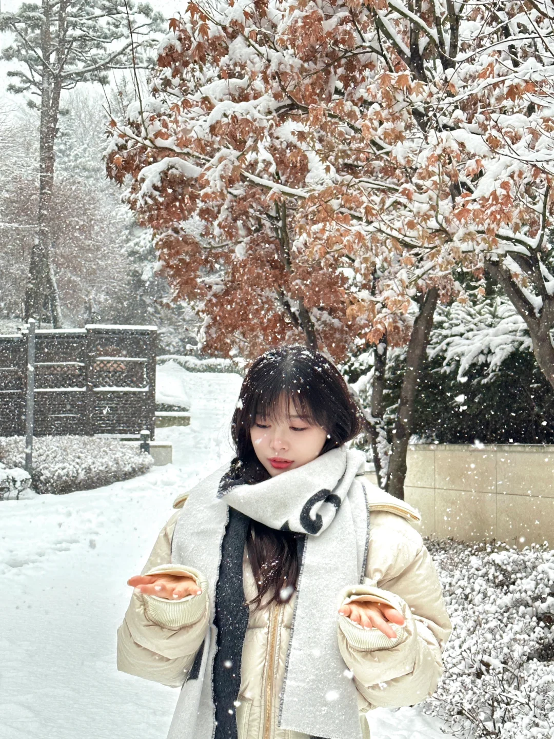 ❄️  首尔的第二场雪