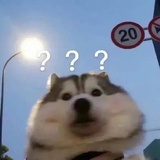 姝颖热看汽车