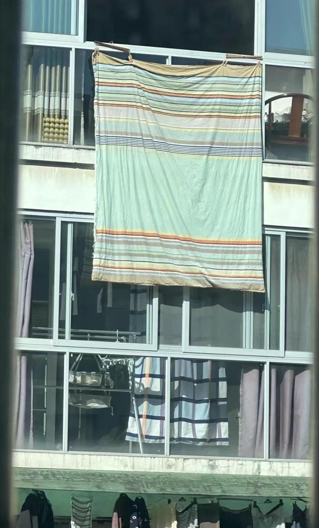 我住在一个普通的小区里，生活本来平淡无奇，却因为邻居间的一些小矛盾而变得有趣起来