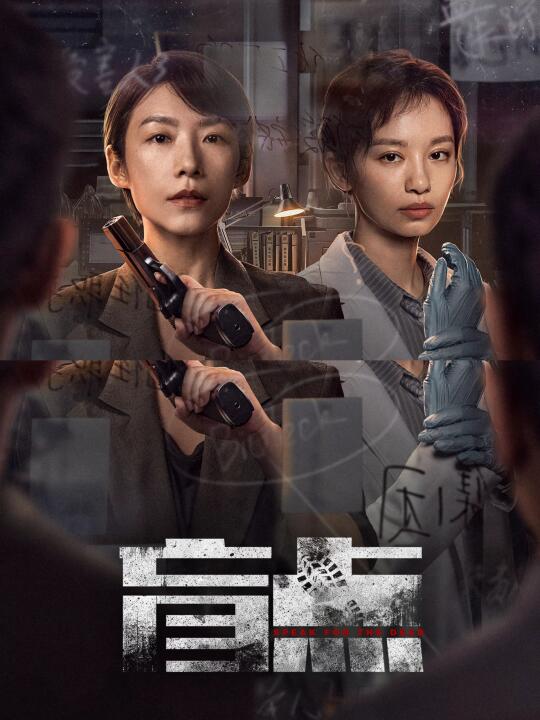 终于开播❗️双女主悬疑❗️刑侦探案❗️