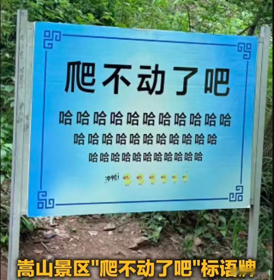 嵩山"爬不动了吧"魔性标语火了。一块蓝色指示牌，上面写着"爬不动了吧"，后面跟着