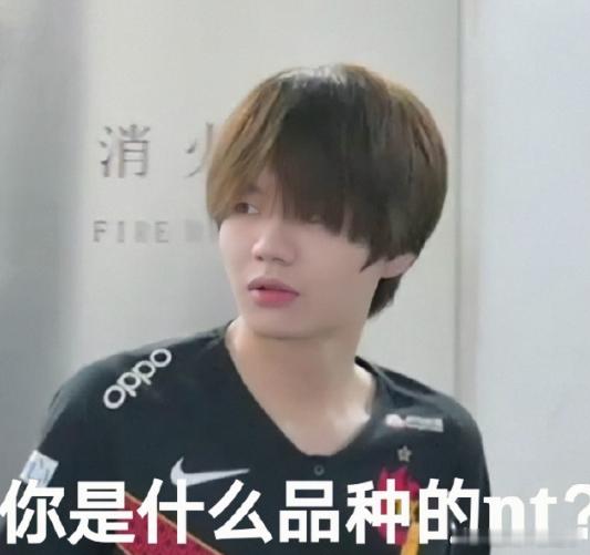 Crisp不只致敬过TheShy，他还致敬过Uzi和Faker，只能说刘神的眼光