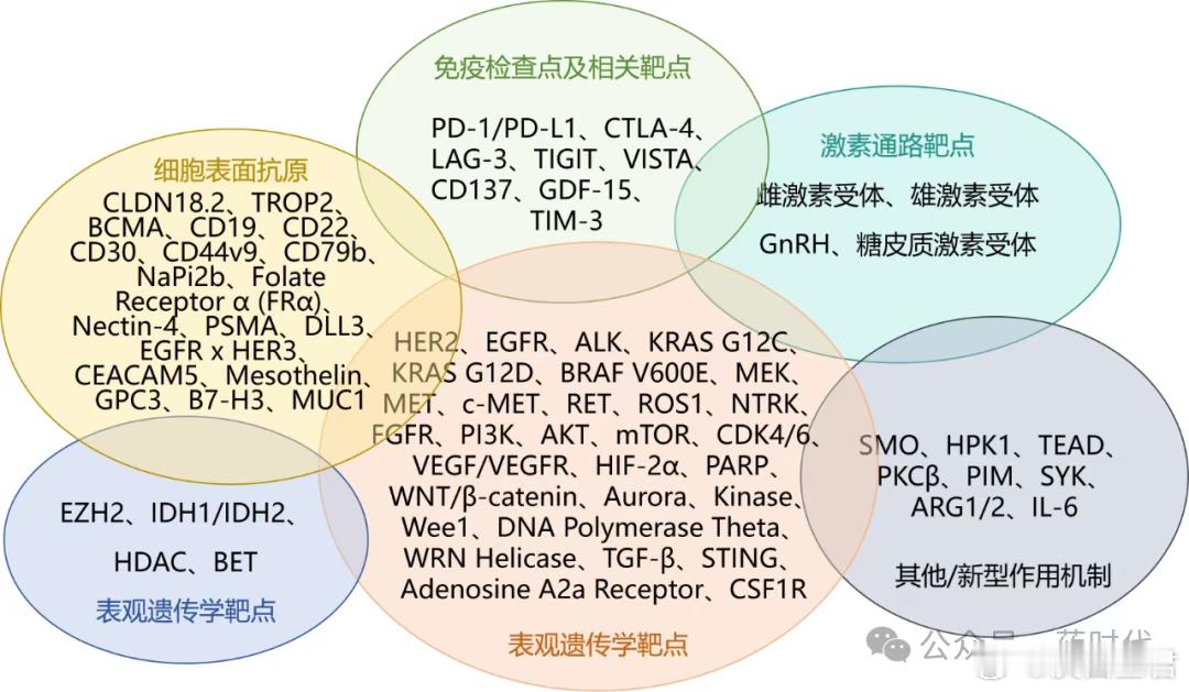 ESMO 2025靶点全景图：谁能成为下一个千亿分子？             