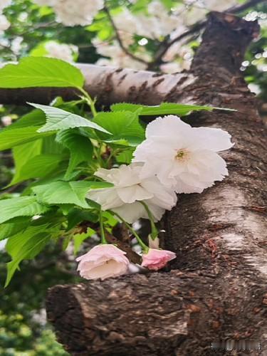 别等到了晚年才醒悟：人心都是慢慢凉透的。

周末跟大姑姐吃完饭坐在一起唠家常，说