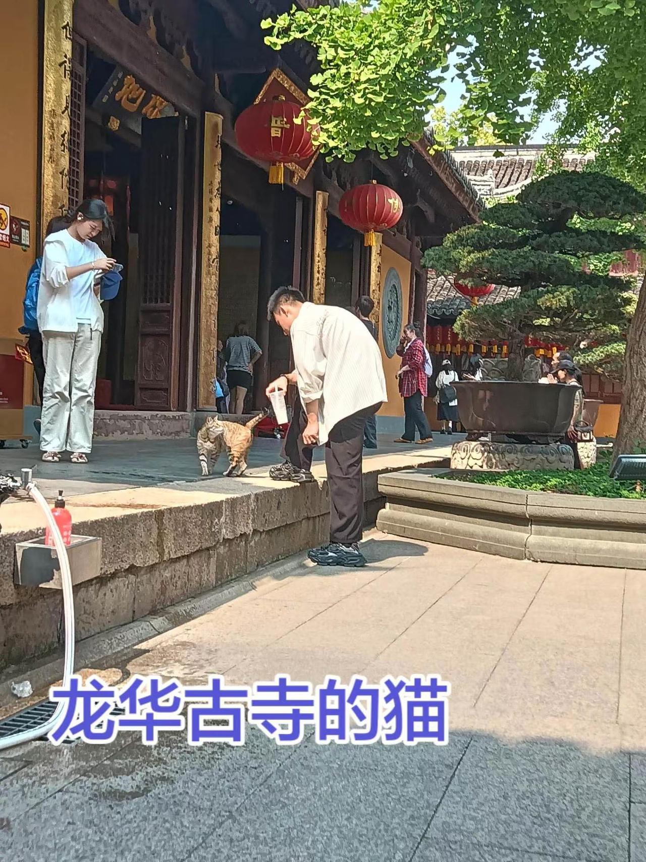 不需要门票钱，历史悠久，环境优美。文创产品极具特色，斋面也特别好吃，当然还有很多