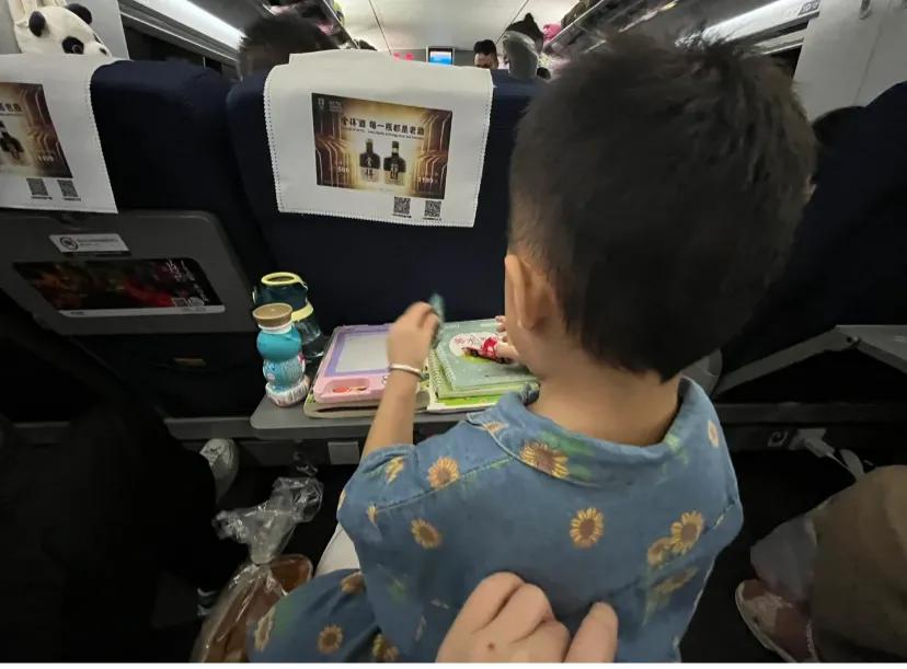 带着小搭档的第一场旅行ing
没有买到重庆直达西安的高铁票，选择了成都转车到西安