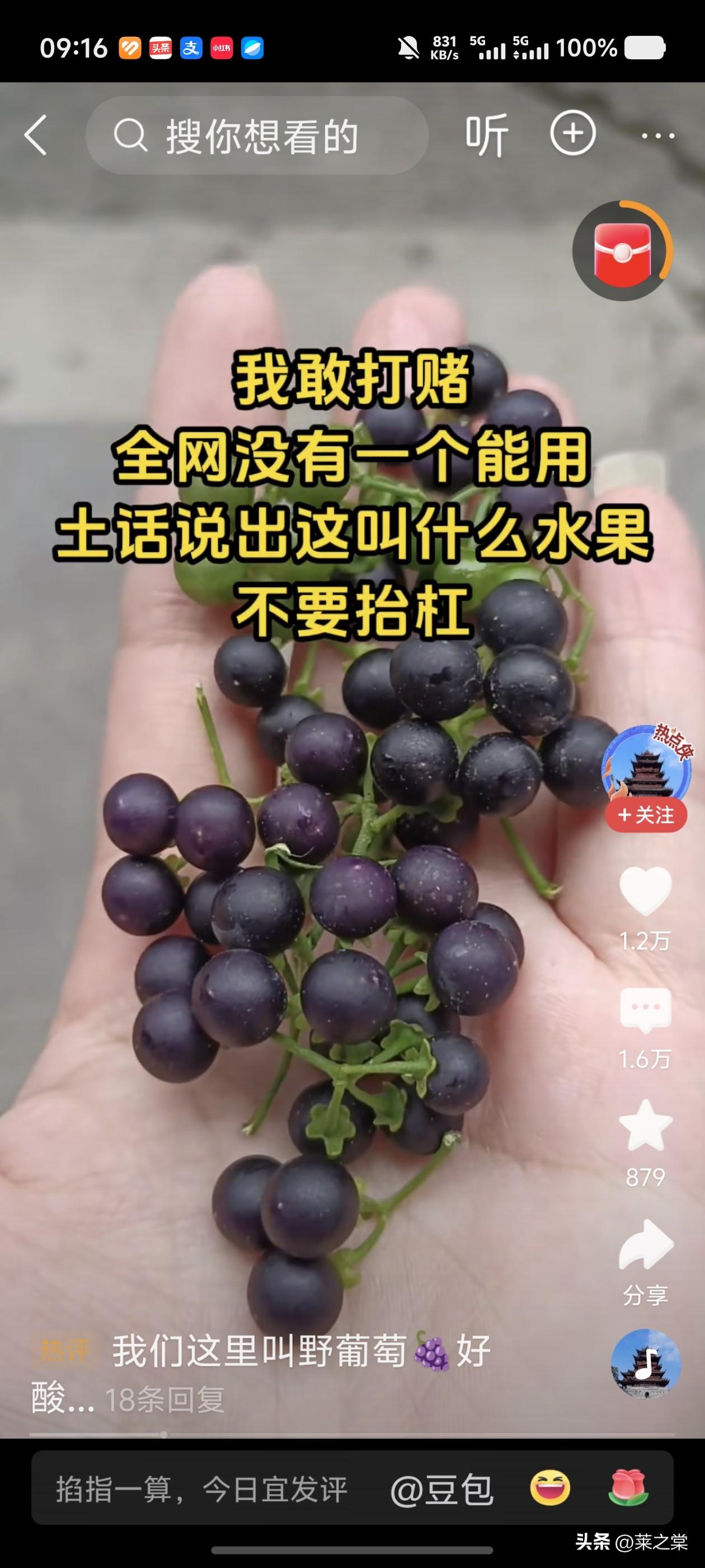 每当蓝莓上市季节，便不禁想起少时曾吃过的一种野果。它比蓝莓小，皮更薄，黑得透亮。