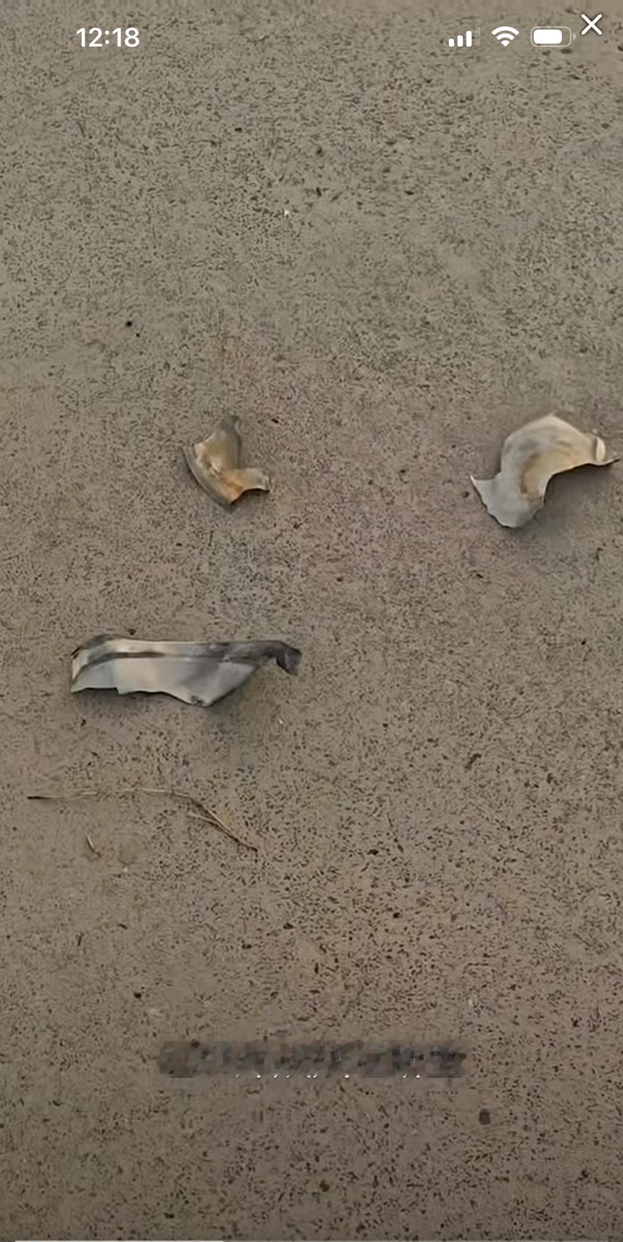 单老师昨天直播间炸狗盆，
他的狗盆炸的更高更猛，
把那些的“黑狗”盆炸的稀巴烂。