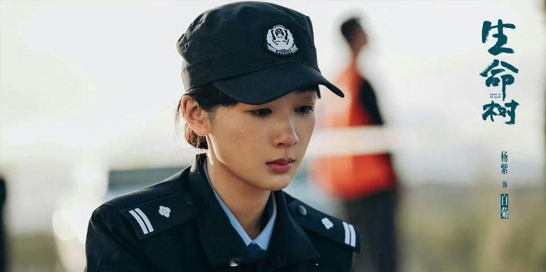 有爆料称杨幂主演的《生万物》跟杨紫主演的《生命树》，将会在这两部剧里面选一个提名