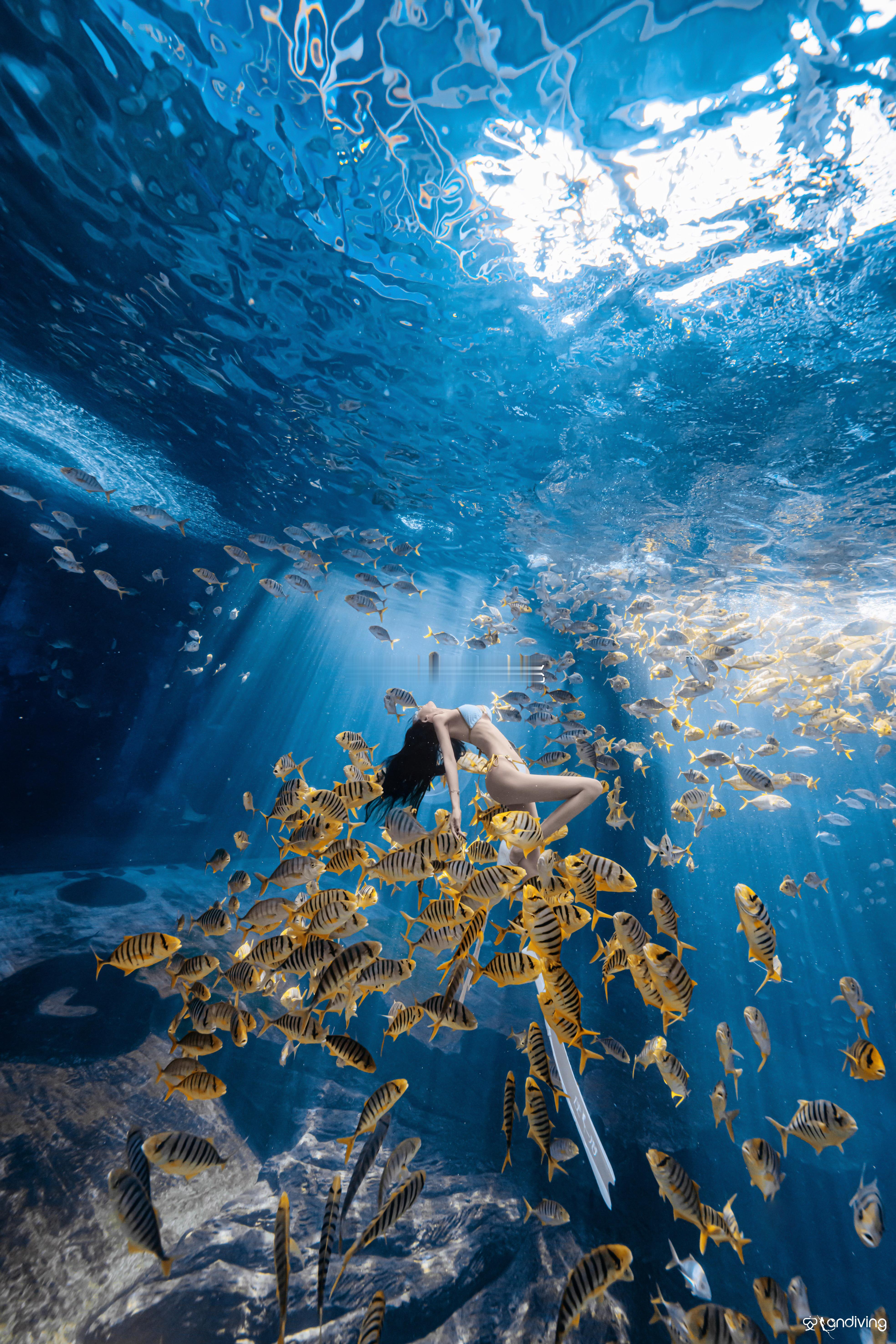 🪼自由的灵魂永不困顿于荆棘 