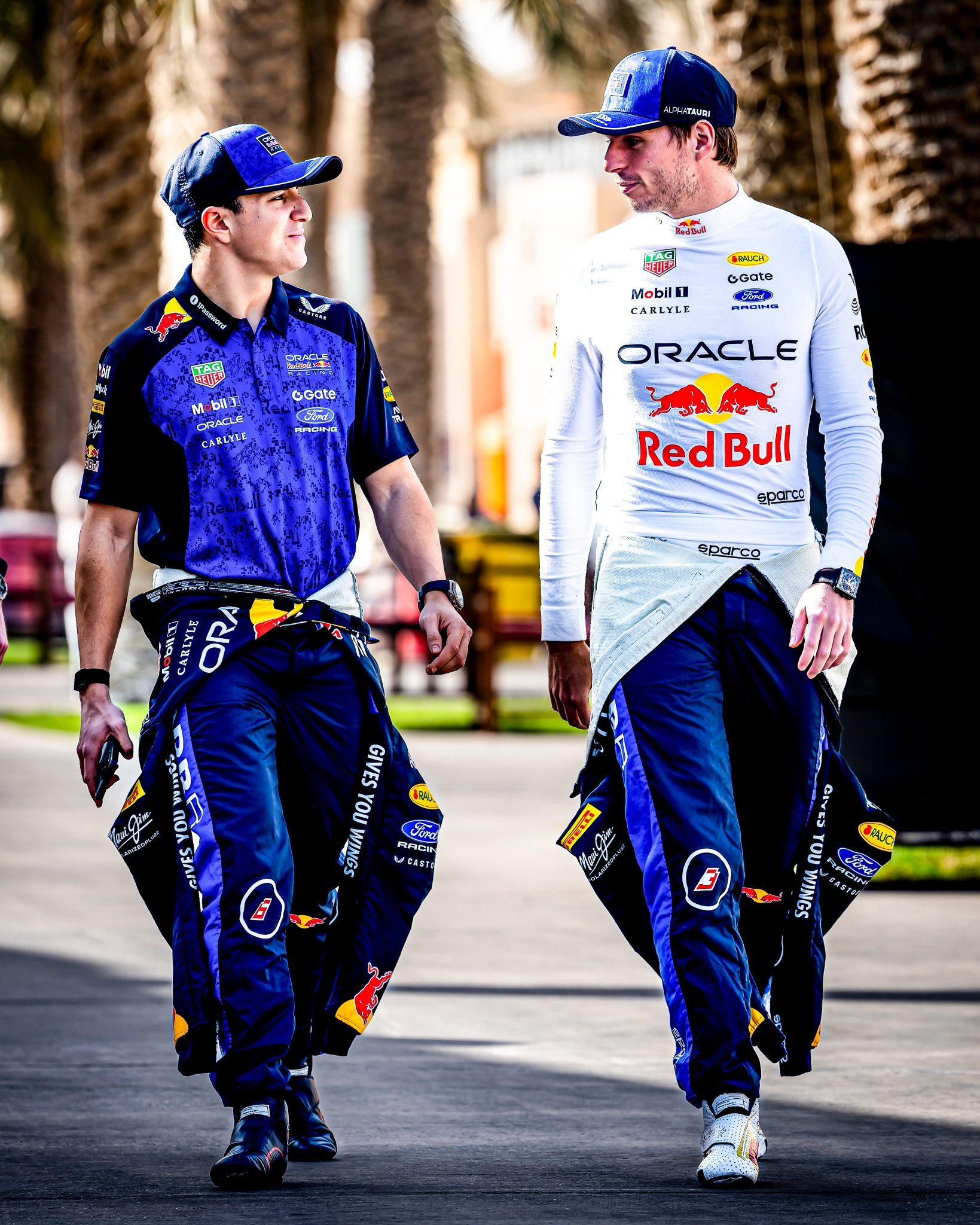 作为队友哈贾尔，只用3场比赛，排位赛赢维斯塔潘的次数总和就已经比2024–202