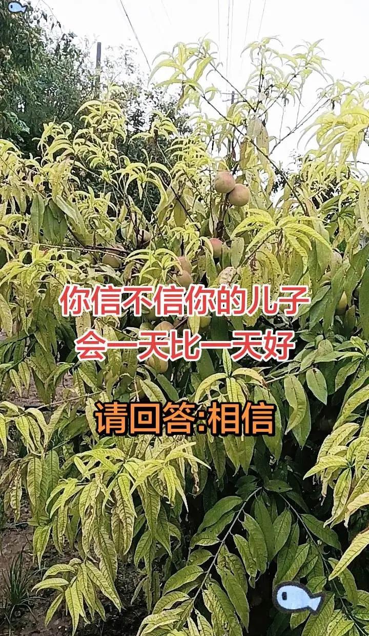 相信的力量