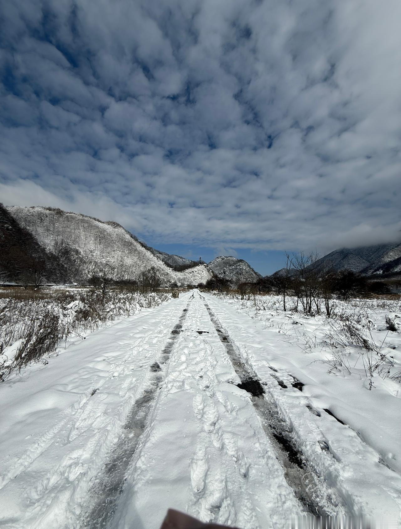 冰封秘境，雪漫神农——神农架赏雪漫游，冬临神农架，天地尽染素白。群峰褪去葱茏，覆