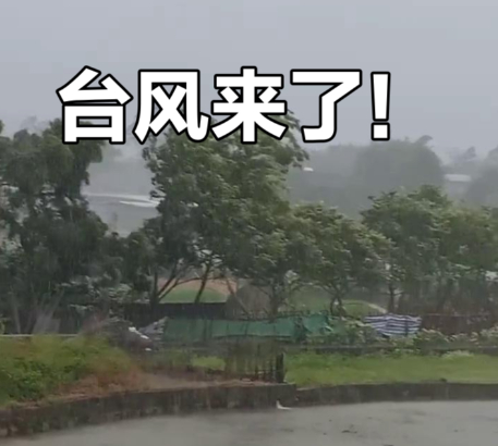 上海台风今年台风来得太突然了，上海全面戒备的速度好快！三万群众紧急转移，各类出行