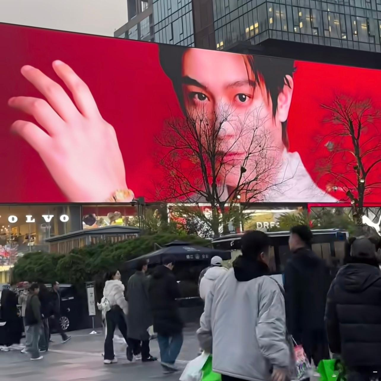 一出地铁口就看到丁禹兮这张好看的脸 