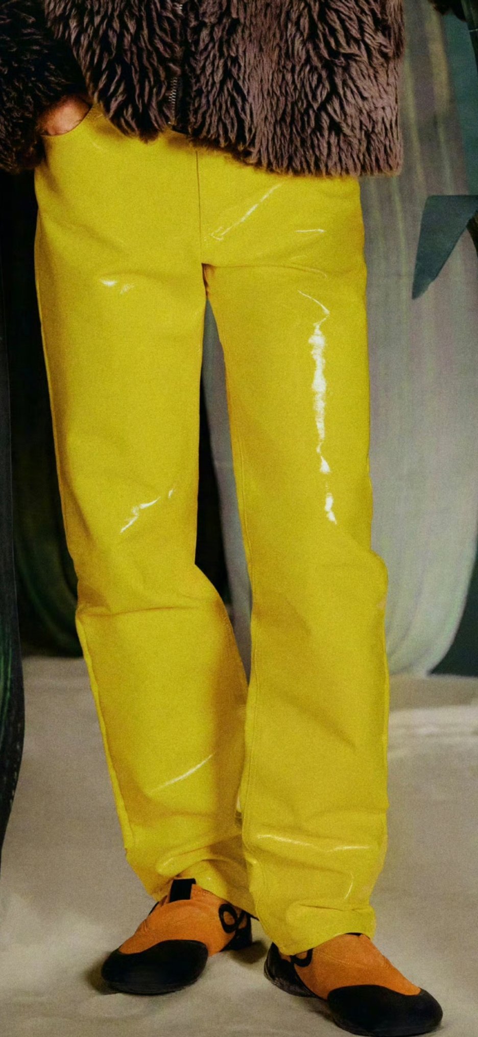 黄色裤子，黄得金光闪闪的巨扁锹甲（金龟总科），dw看到得眼前一黑吧哈哈哈哈 ​​