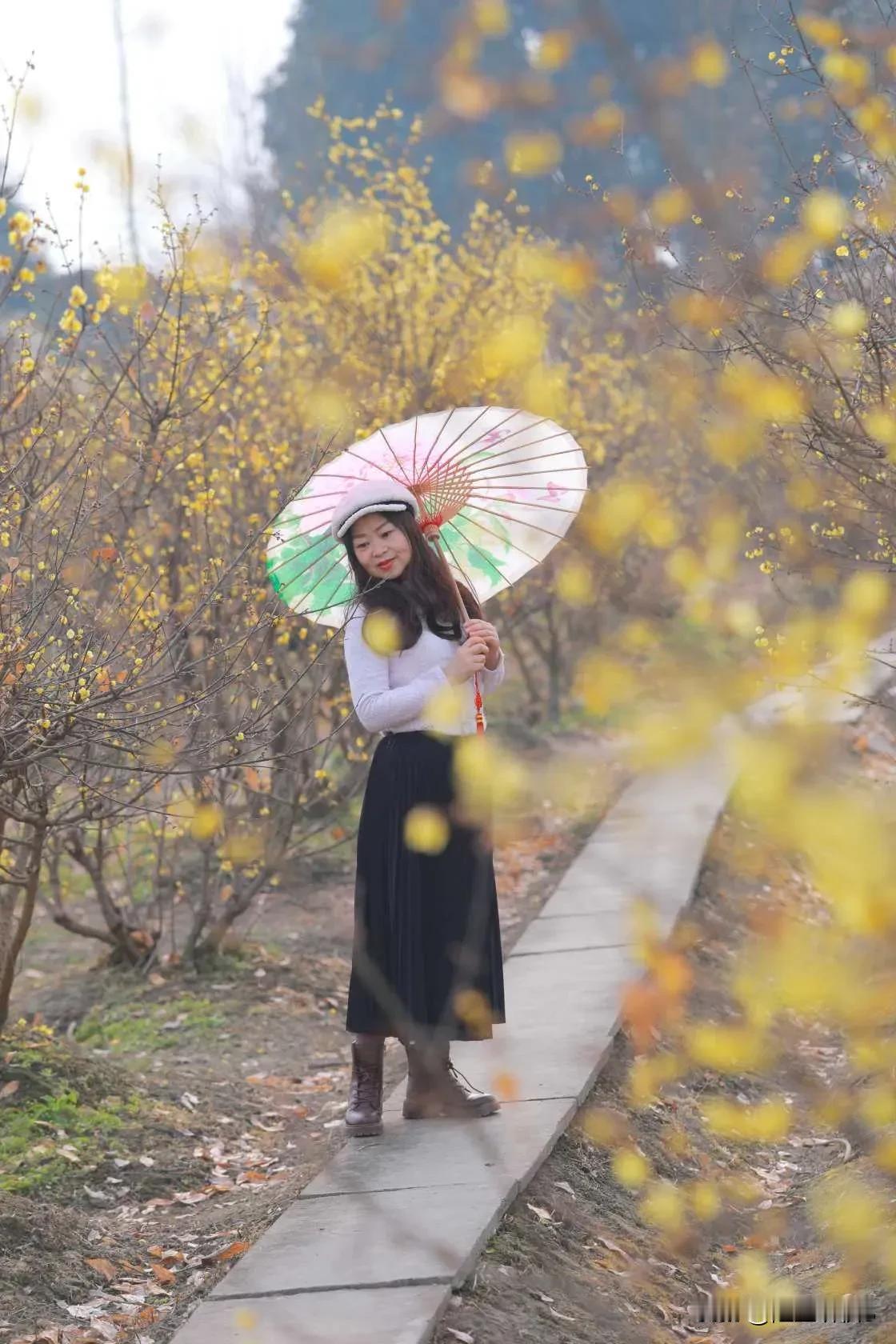 《蜡梅花》（原创首发）
陋室听秋/文
 
寒意料峭，风如冰刃
一枚蜡梅的花苞，紧