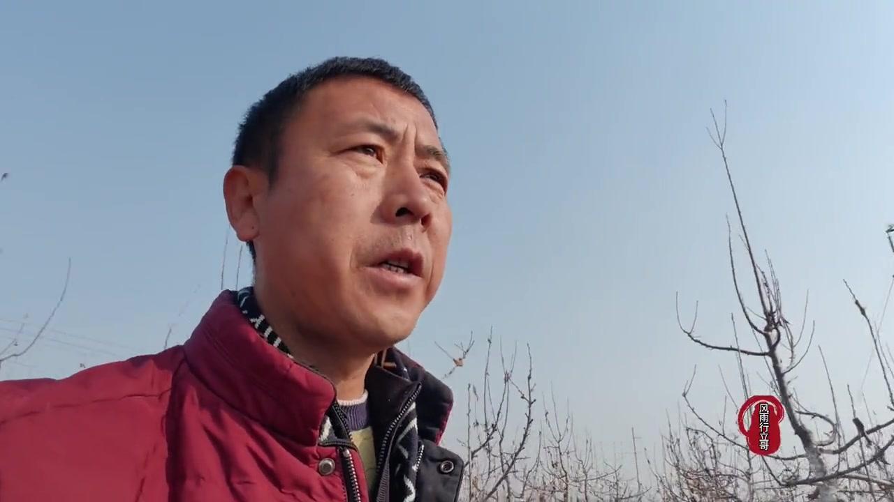 这可不是随便定的，得看根系、品种和树型结构。
密度过大，树与树之间竞争激烈，水分