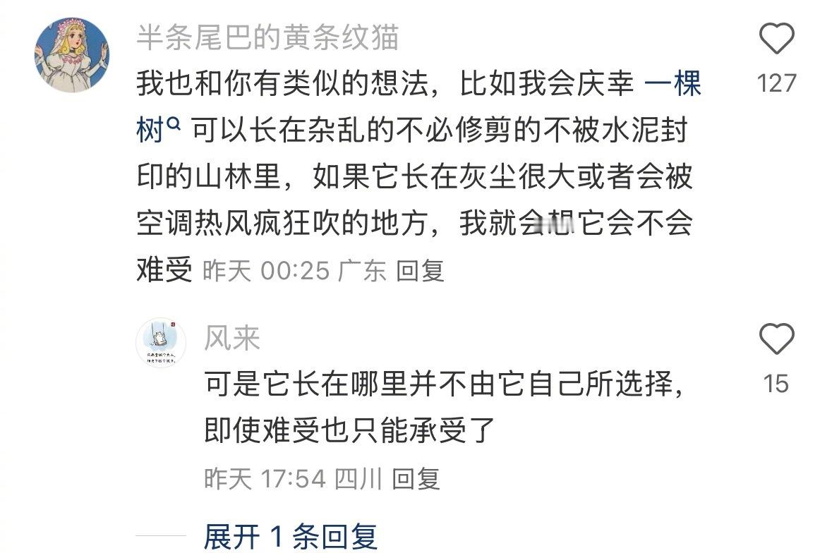 原来树也需要睡觉 ​​​