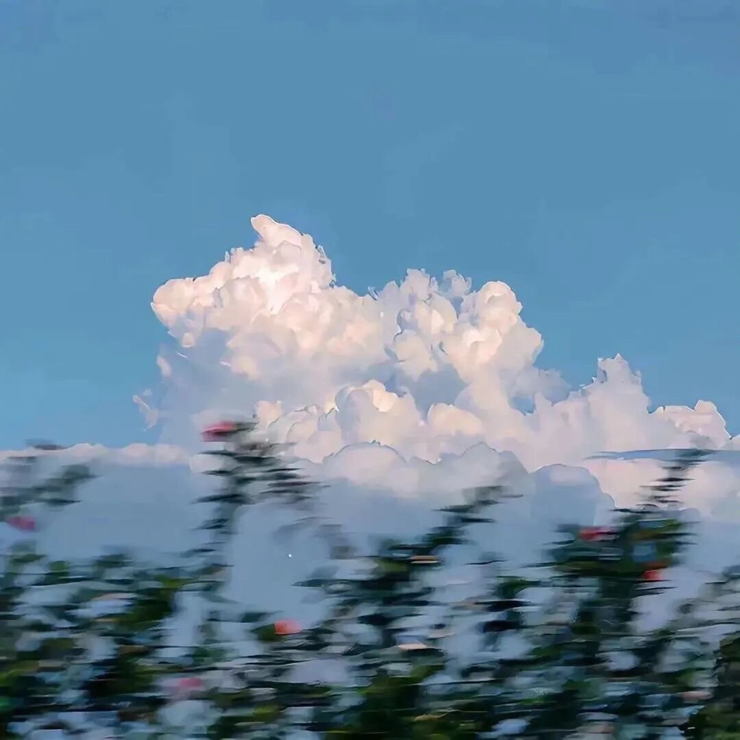 Mmm ◡̈下班的风，热乎的饭，今天就够好啦。 ​​​