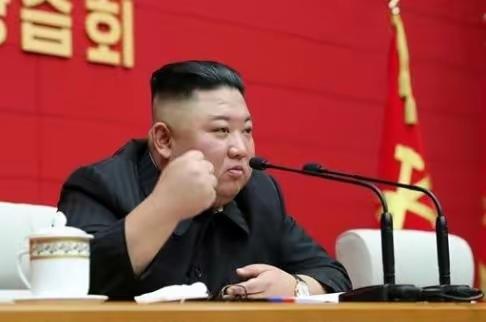 就在刚刚，美方对外透露一个重大消息，事关金正恩。美国前国家安全委员会（NSC）幕