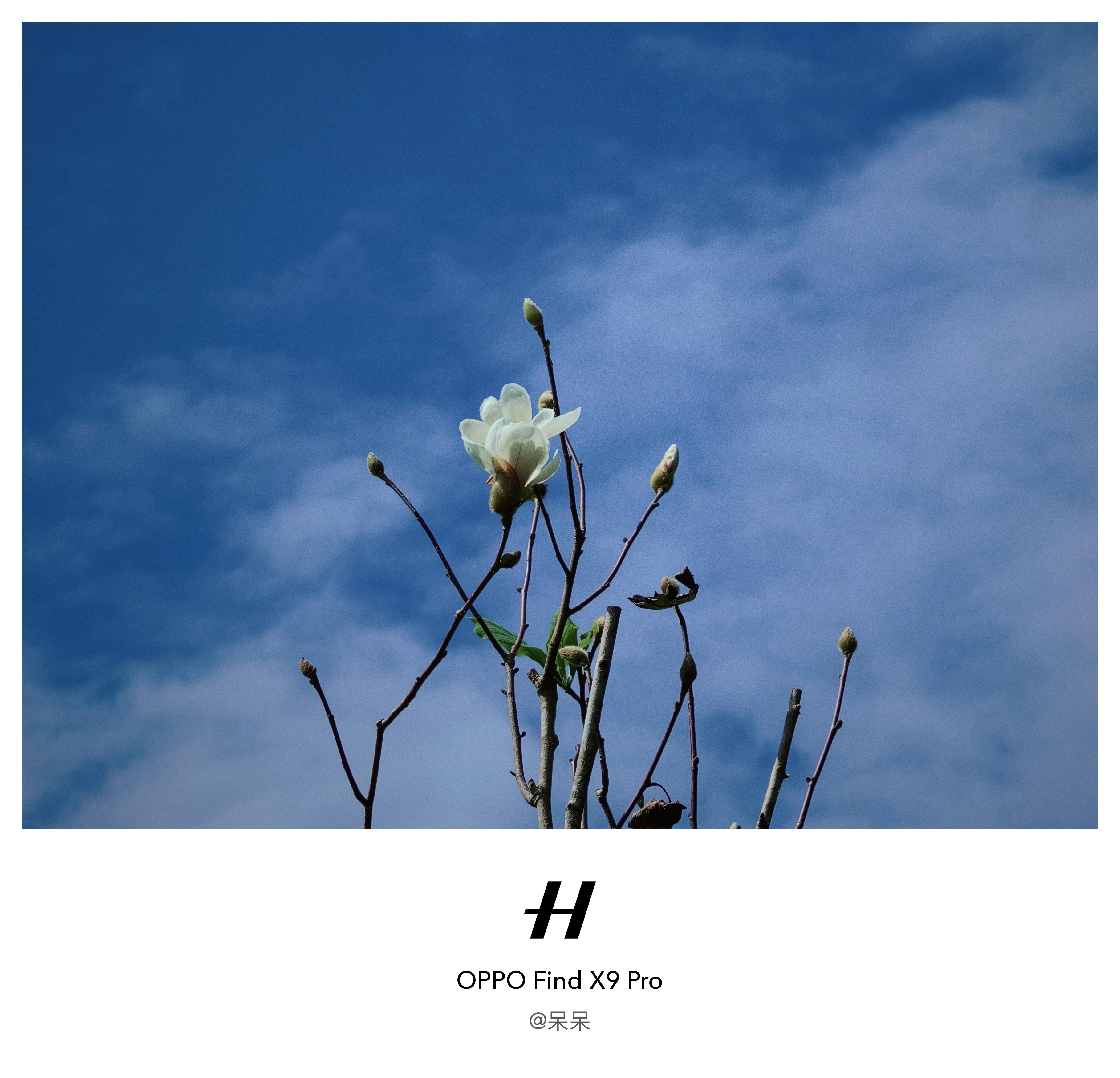 X9Pro 的一些随手拍我觉得大师模式在影调上和 X8U 没有什么太大的区别我还