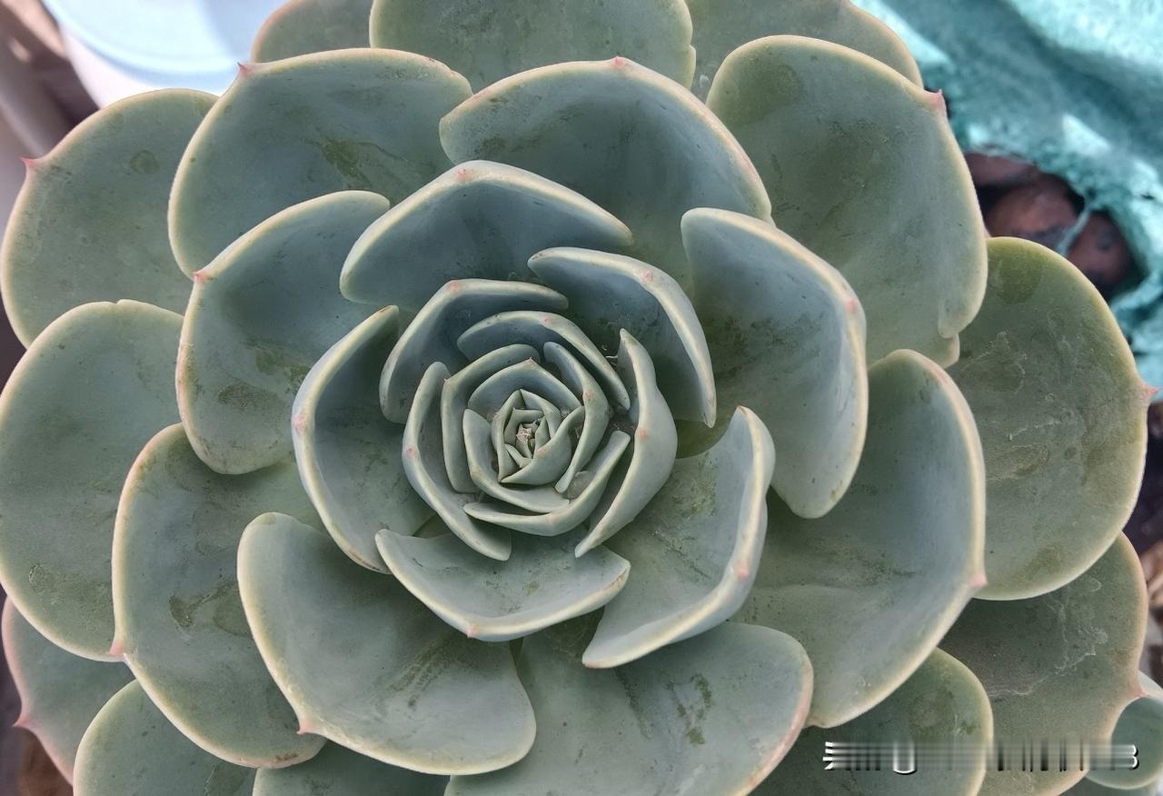 今天看到下面这样一句话，感受到了现在药店是真的难！风口浪尖上的感觉。

“你医保