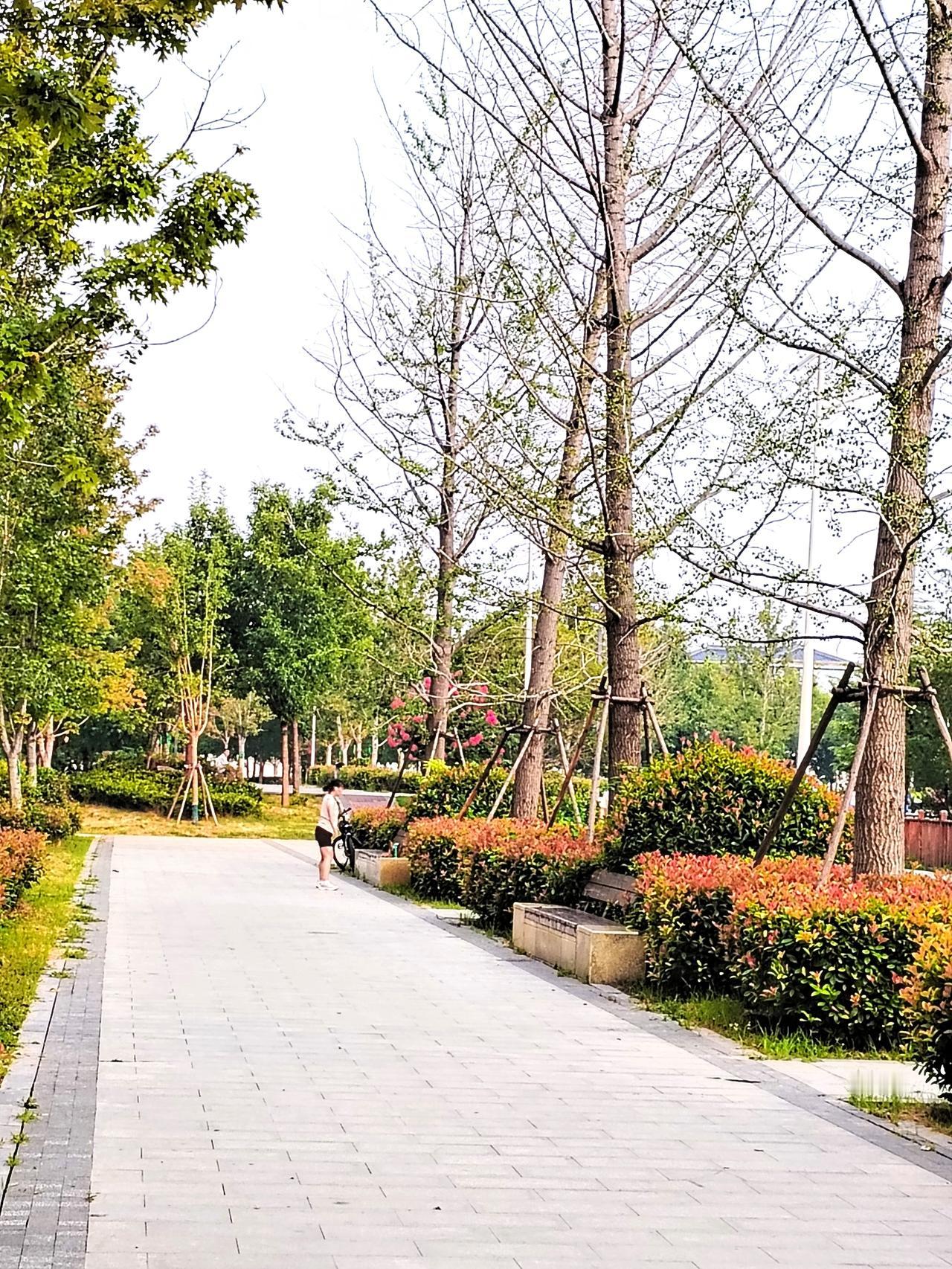 今天早晨去公园散步，看到千字文文化公园秋日美景，拿起手机随手拍了几张照片，与大家