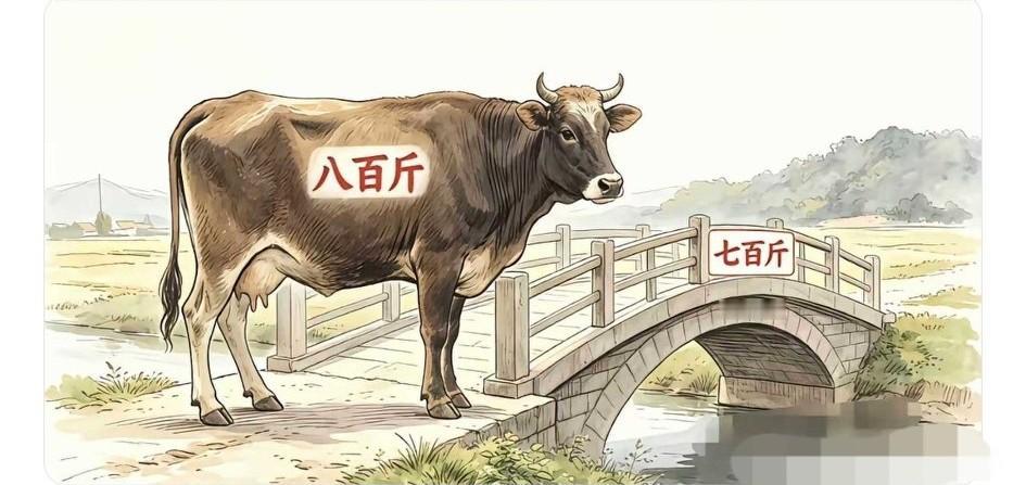 这“牛过桥”的问题真的让人头大！桥的承重量只有700斤，但是这头牛有800斤重，
