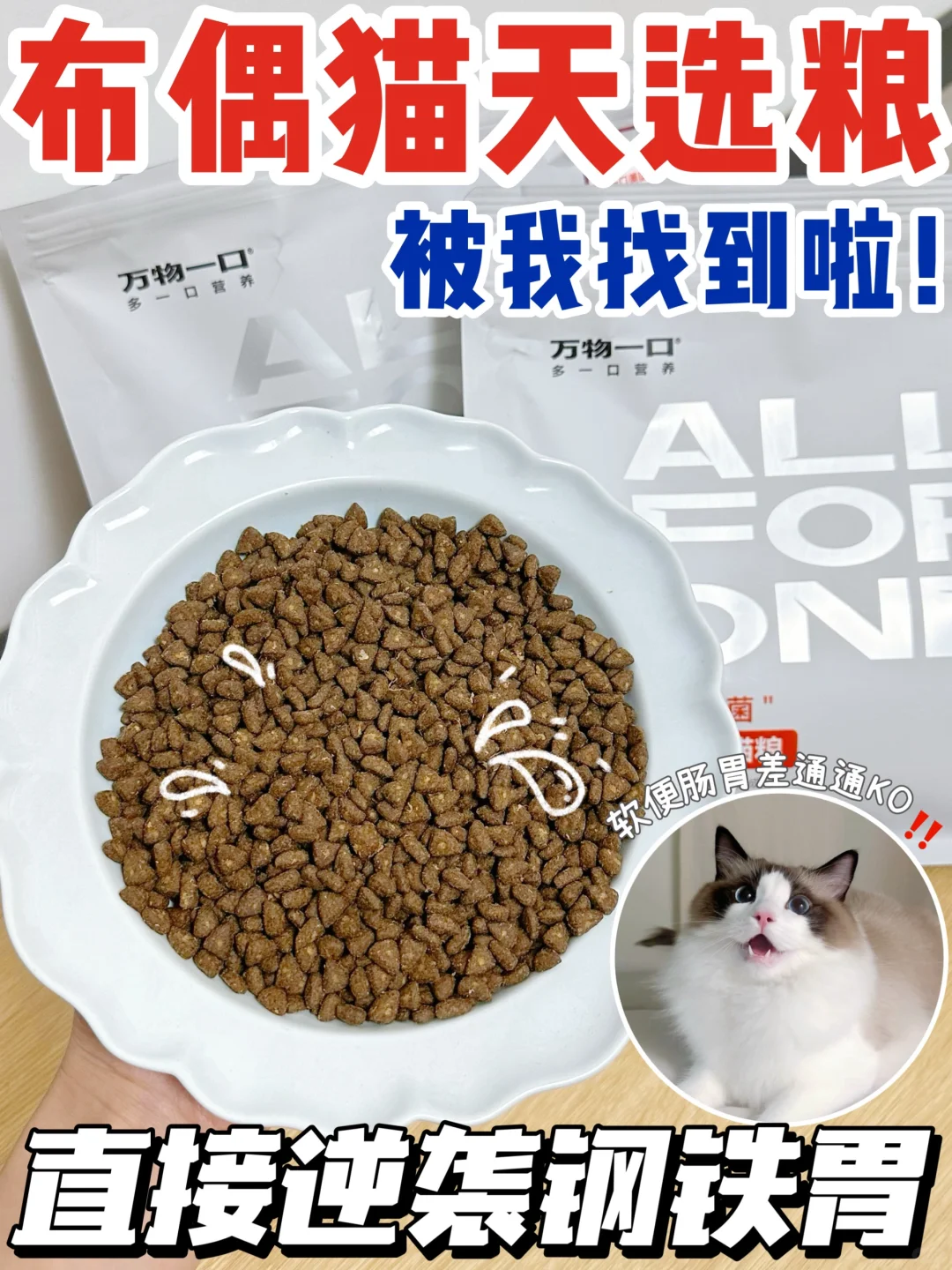 玻璃胃救星猫粮就是它！布偶猫家长看过来