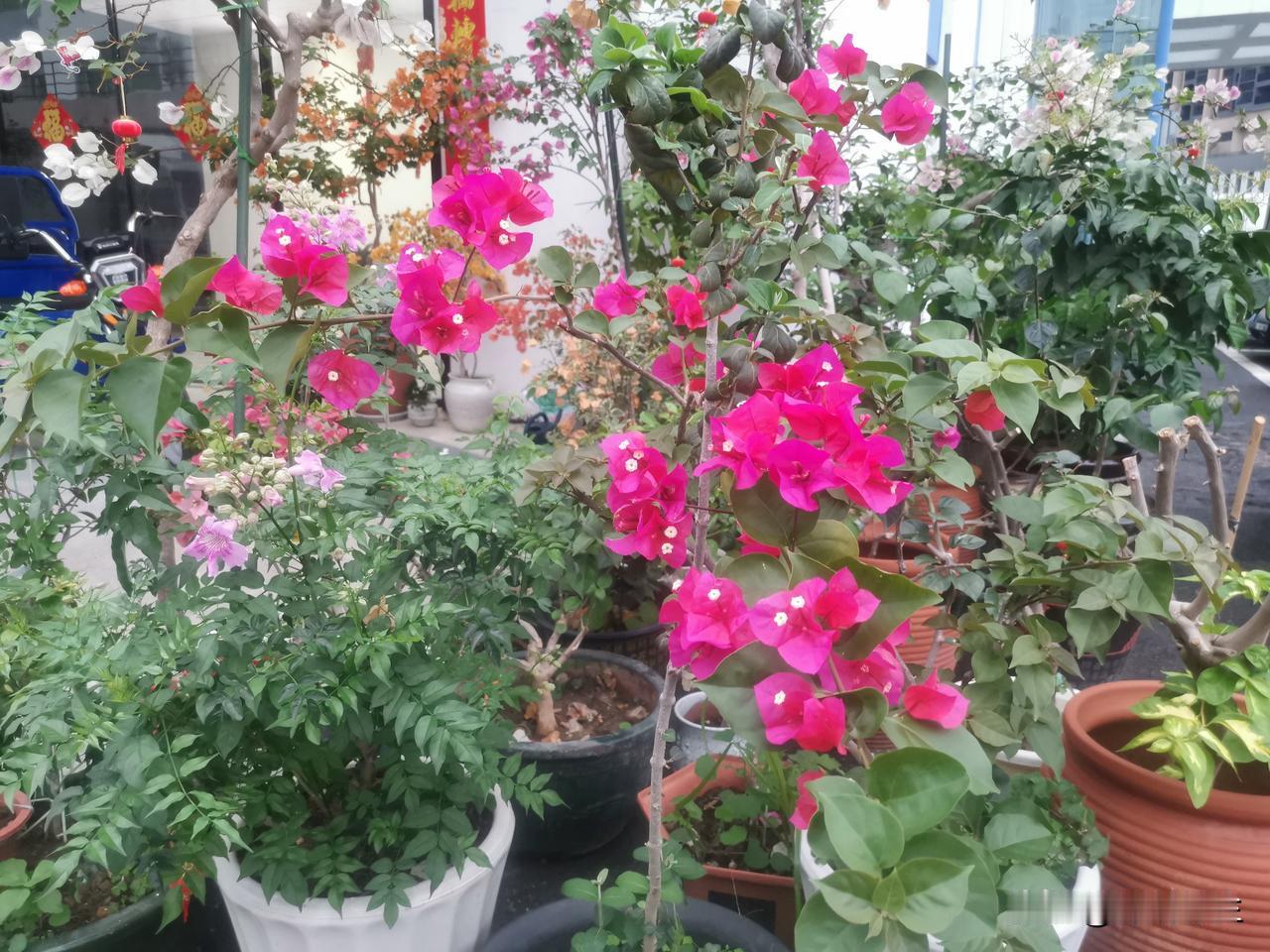 清明节假期开启，4月4日我去祭祖先人。突然觉得，祭拜他们，就像在祭拜几十年后的自