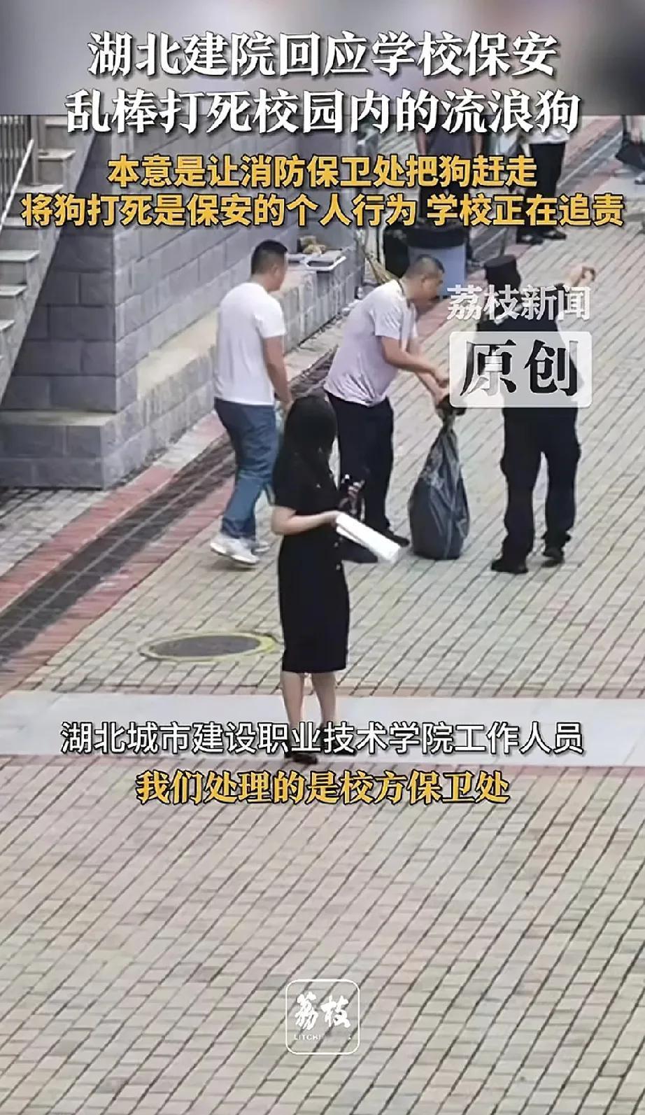某高校保安用棍棒打死校内流浪狗，太残忍了！网友:学校领导是“甩锅侠”
近日，湖北