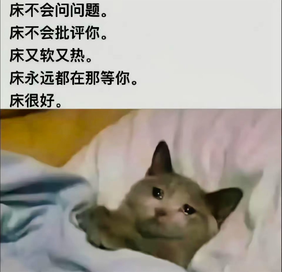 Irene 小猫和裴珠泫 小猫和Irene 小猫和艾琳 小猫和裴姐 小猫和琳悲悲