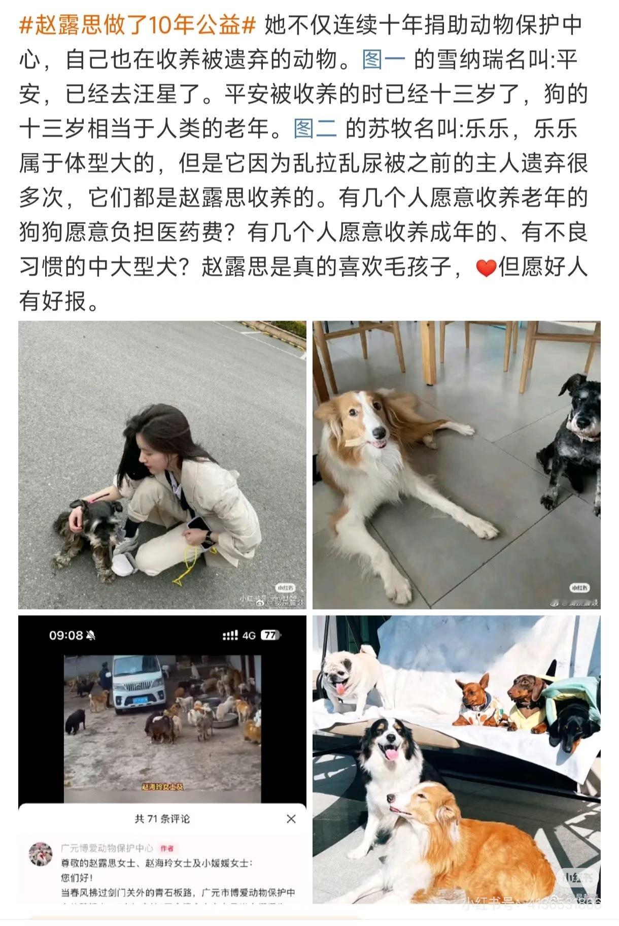 细数一下赵露思做得公益，她资助舞狮团队传承传统文化，扶持张掖、凉山等地非遗手工艺