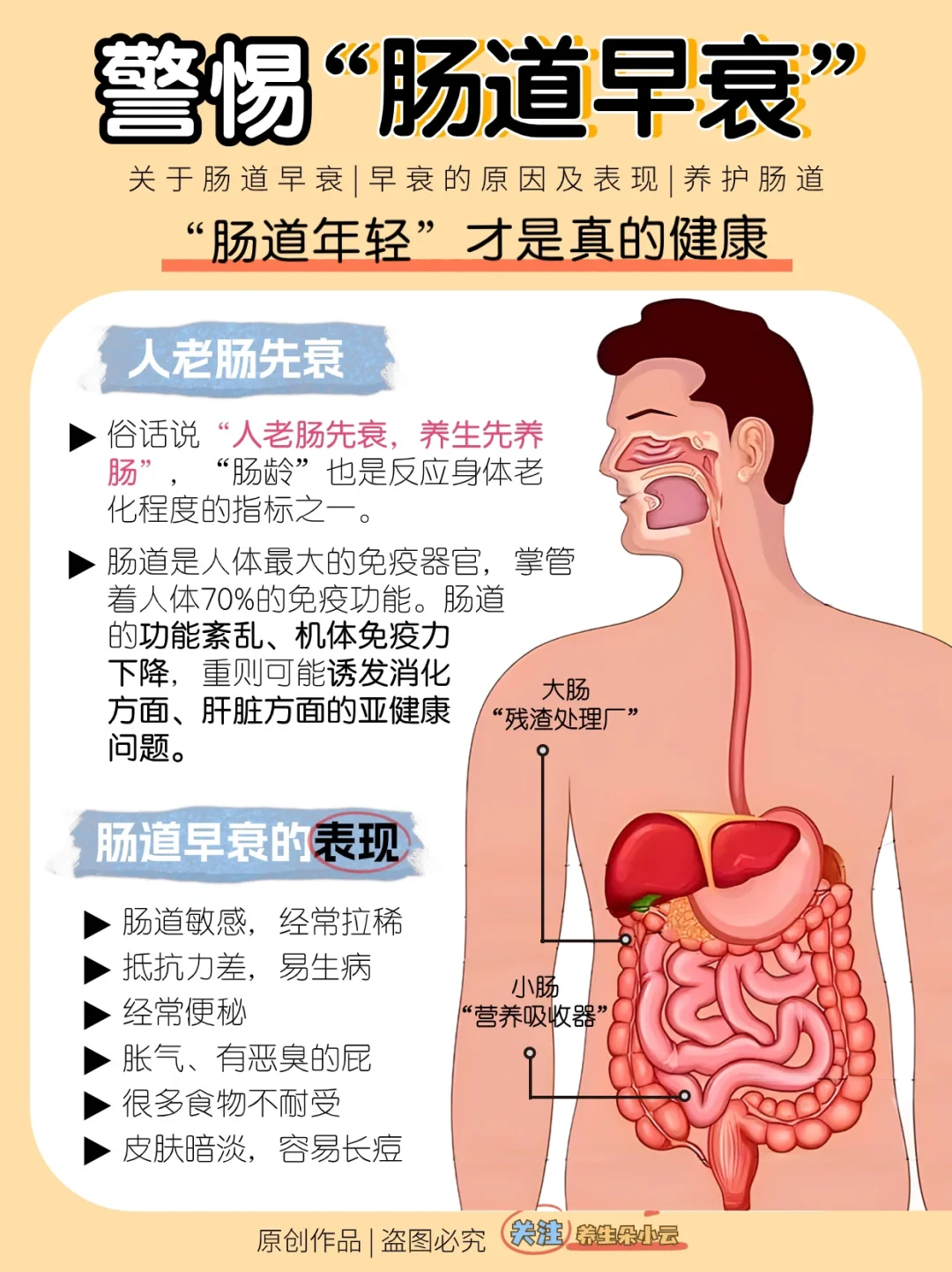 警惕肠道早衰⚠️养护指南✅益生菌经验贴