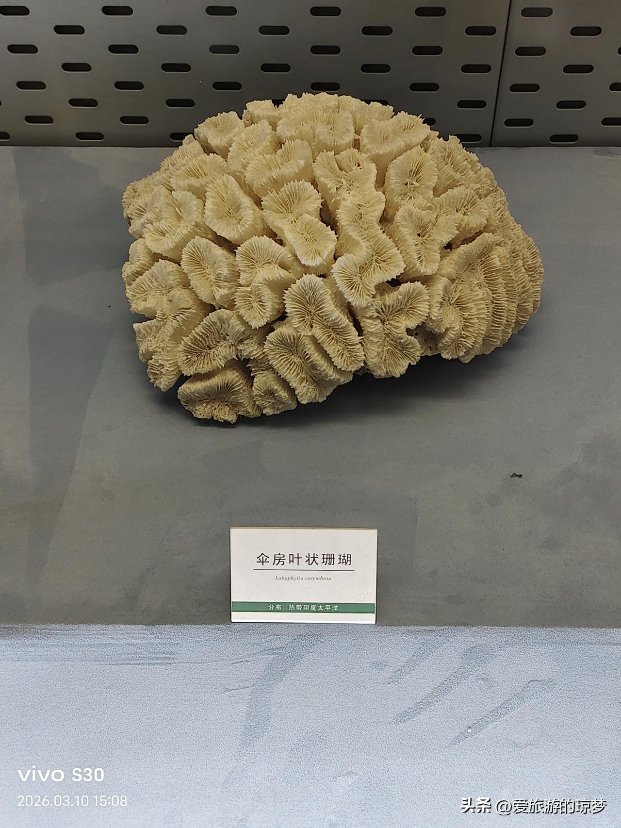 随手拍张照