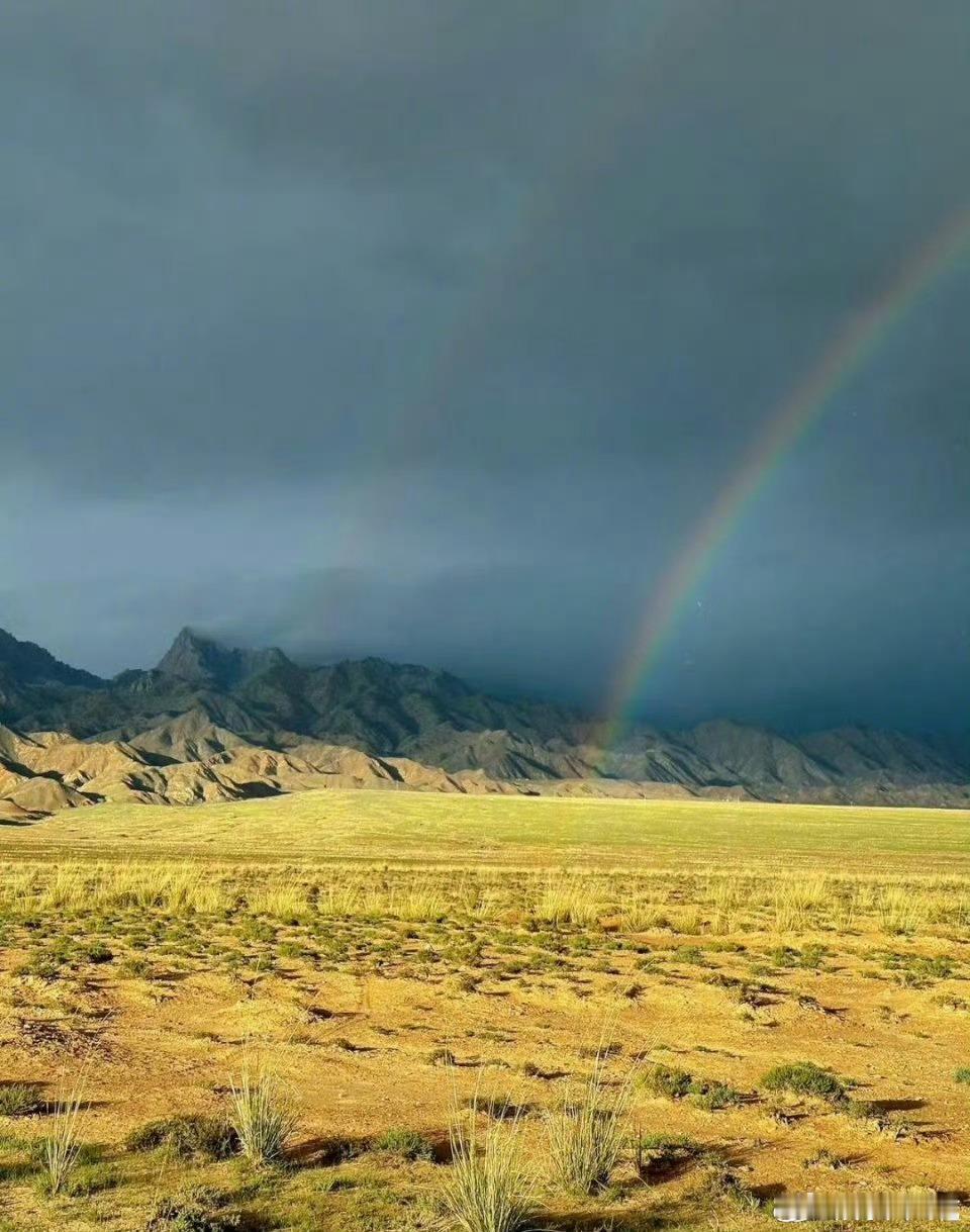 生命树反馈听说实景拍摄质感拉满了 蹲蹲实景壁纸 生命树实景拍摄质感拉满生命树实景