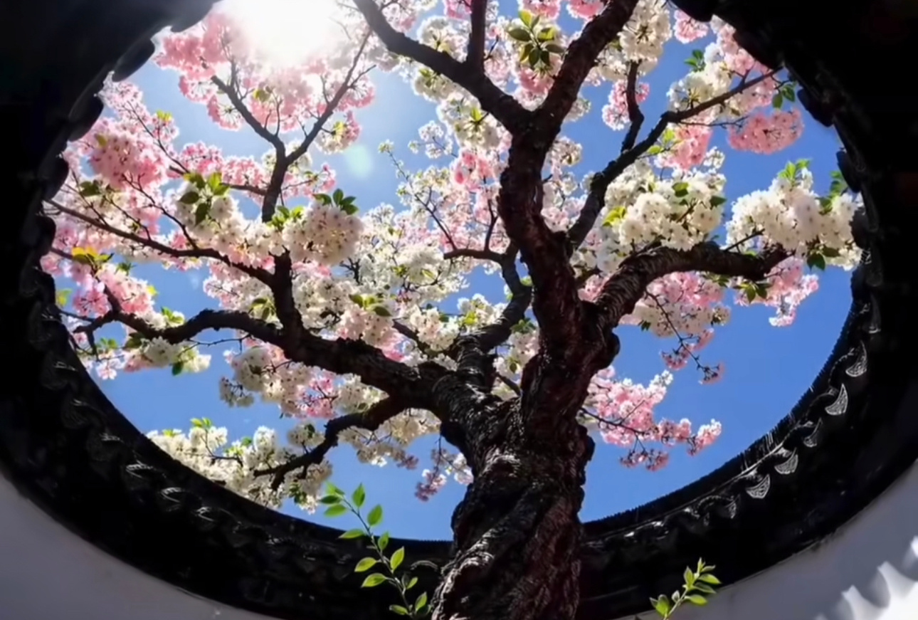 母亲节