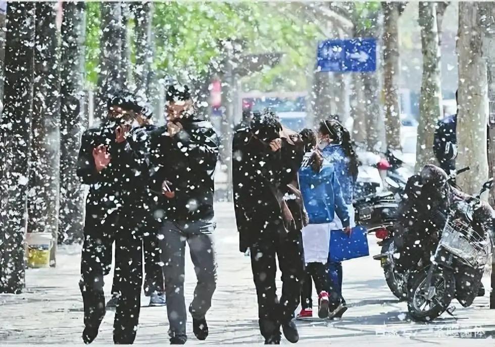 窗外阳光明媚，却又是满天飞雪。这是沧州的一景，也是最让人烦恼的季节。这漫天飞舞的