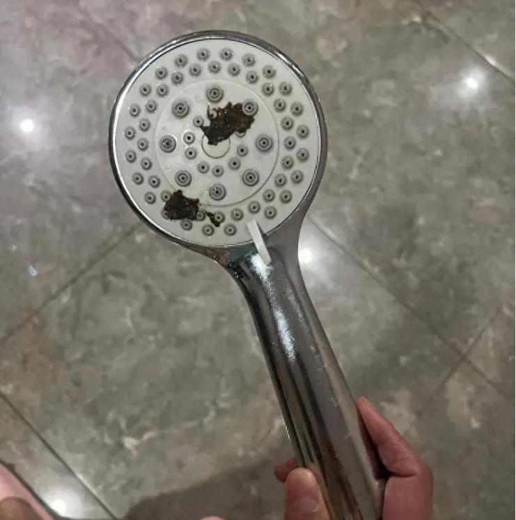 笔骨子有事说事 ⚠️酒店花洒现排泄物住客索赔遭拒兰州酒店花洒惊现排泄物，店长一句